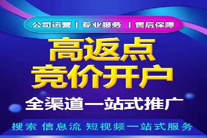 信息流竞价竞争策略：案例分析与实践
